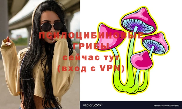 сатива Нефтегорск